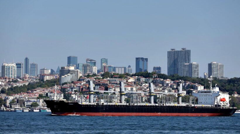 Sbloccate le navi col grano per l’Africa. Patto Mosca-Ankara sull’energia nucleare