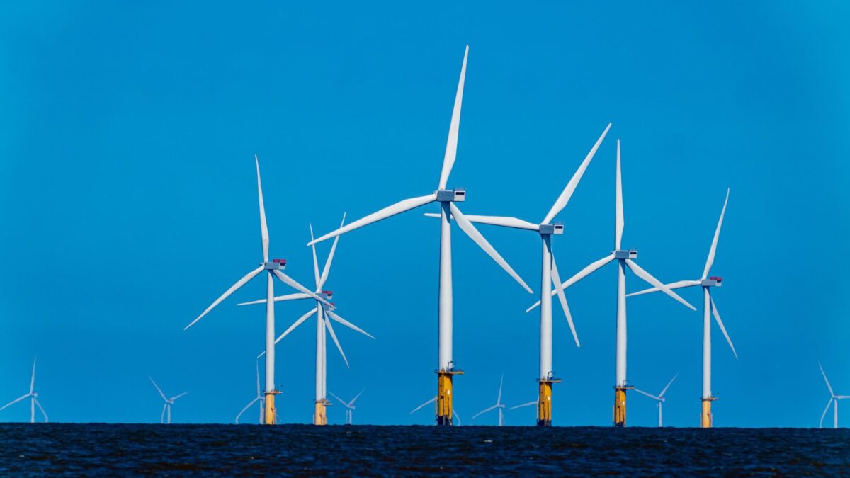 «Le pale eoliche? Danni sociali ed ecologici»
