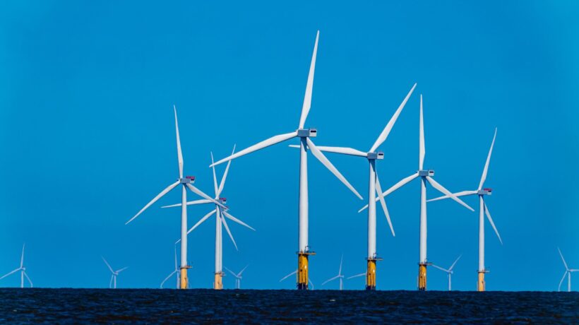 «Le pale eoliche? Danni sociali ed ecologici»