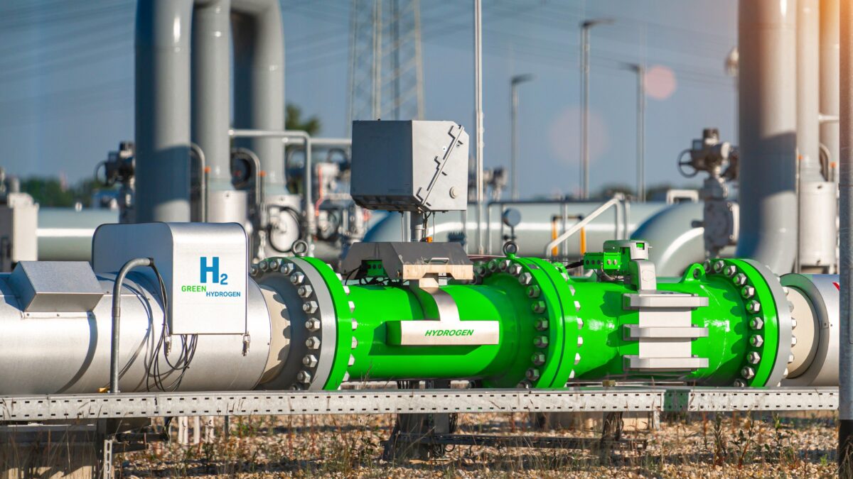 Gas e ora l’idrogeno. Gli acquisti comuni Ue uccidono il mercato