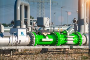 Gas e ora l’idrogeno. Gli acquisti comuni Ue uccidono il mercato