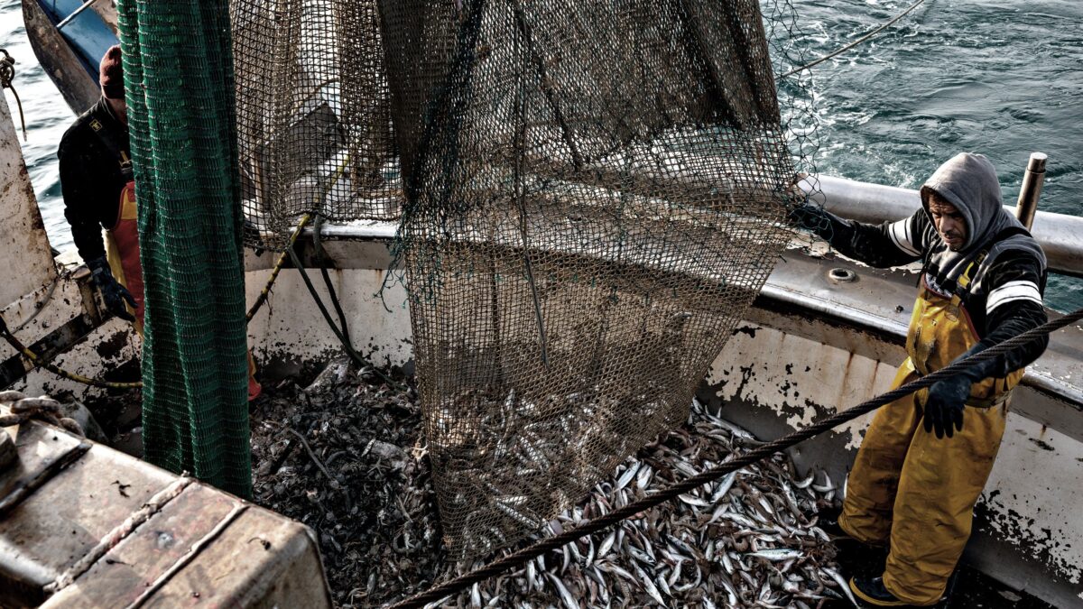 Pescatori spiati dall’Europa: obbligo di localizzazione e telecamere sulle barche
