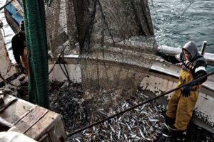 Pescatori spiati dall’Europa: obbligo di localizzazione e telecamere sulle barche