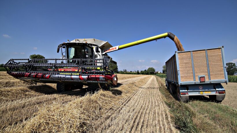 L’Ue vuole imporre ai contadini di non seminare grano per un anno
