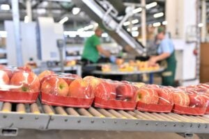 Bruxelles manda al macero frutta e verdura