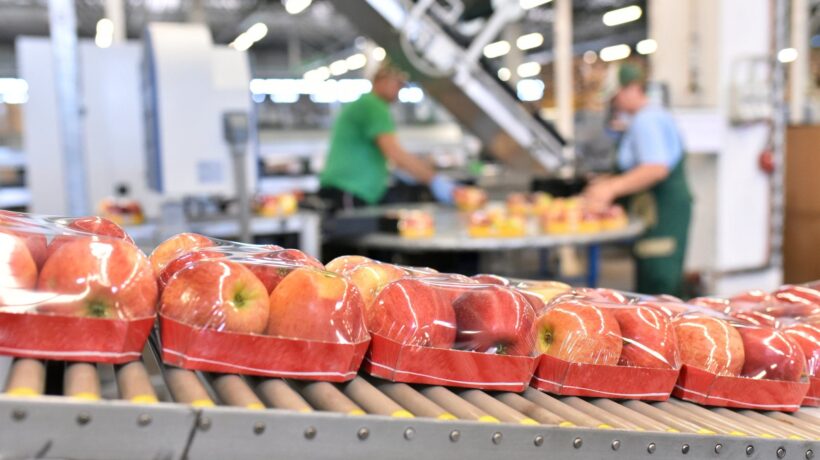 Bruxelles manda al macero frutta e verdura