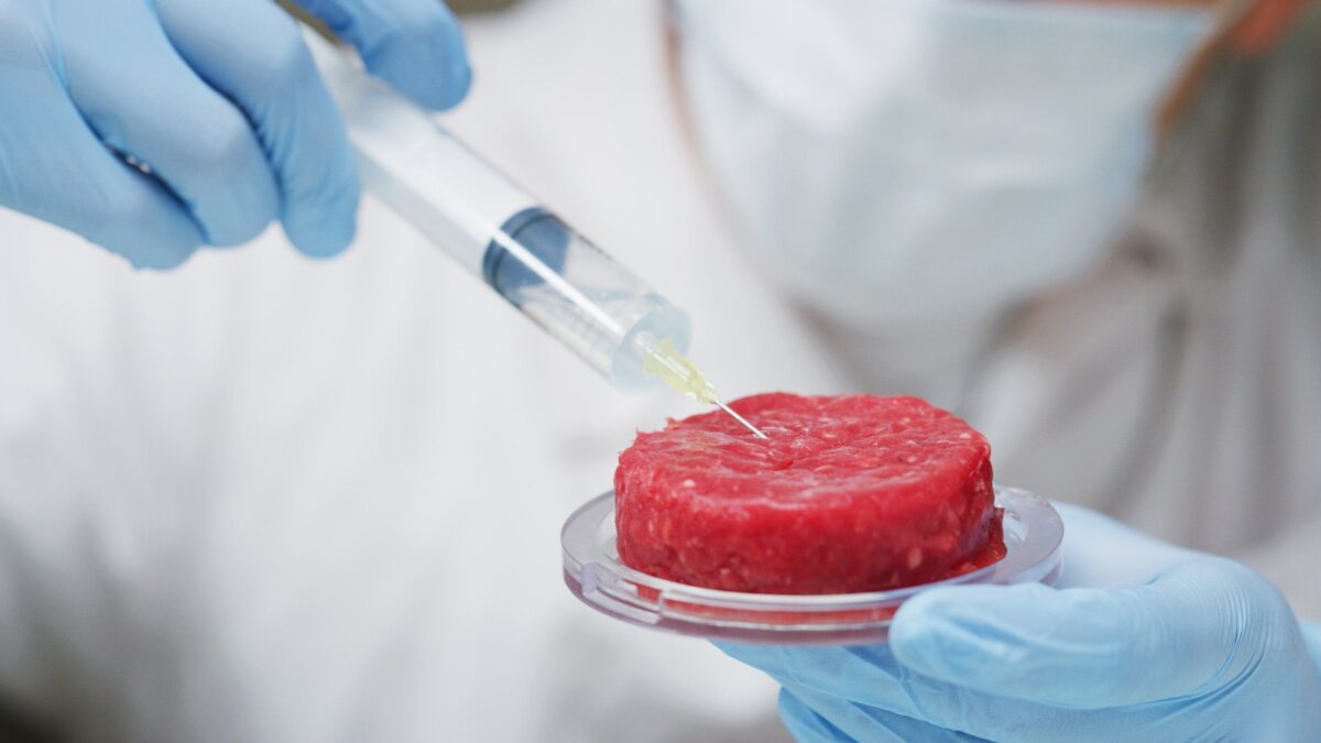Il dissenso del Colle non ferma lo stop alla carne sintetica. Coldiretti esulta