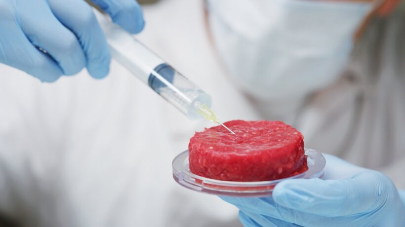 Il dissenso del Colle non ferma lo stop alla carne sintetica. Coldiretti esulta