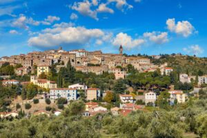 Sull’Amiata c’è un olivo sospeso che… parla