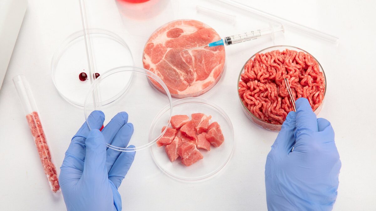 Il Colle si piega ai diktat dell’Europa: «No al divieto sulla carne sintetica»