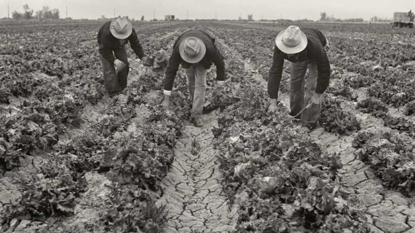 Dorothea Lange in mostra a Bassano del Grappa