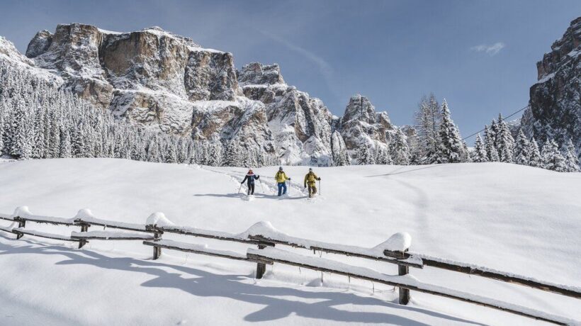 Il Trentino si scopre camminando immersi fra gli alberi e il silenzio