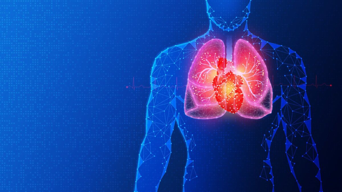 «Il nostro cuore artificiale funzionerà per 20 anni e si ricaricherà di notte»
