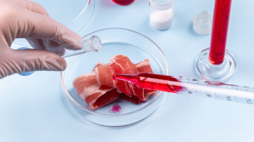 Il cibo in provetta è solo l’antipasto del mondo distopico che ci aspetta
