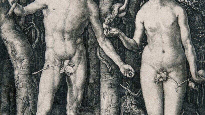 Albrecht Dürer al MART di Rovereto