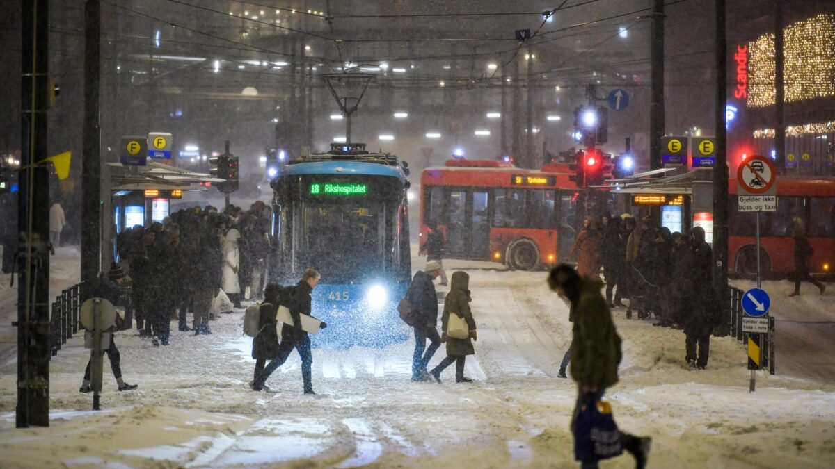 Fa troppo freddo: bus elettrici paralizzati