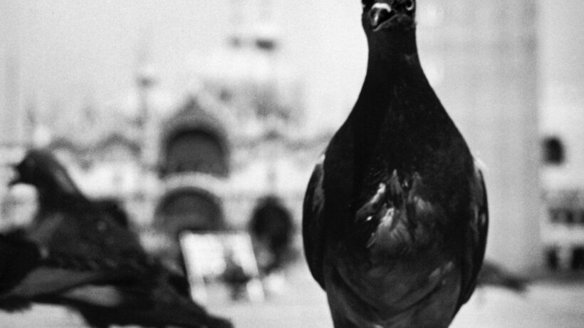 David Seymour in mostra a Palazzo Grimani