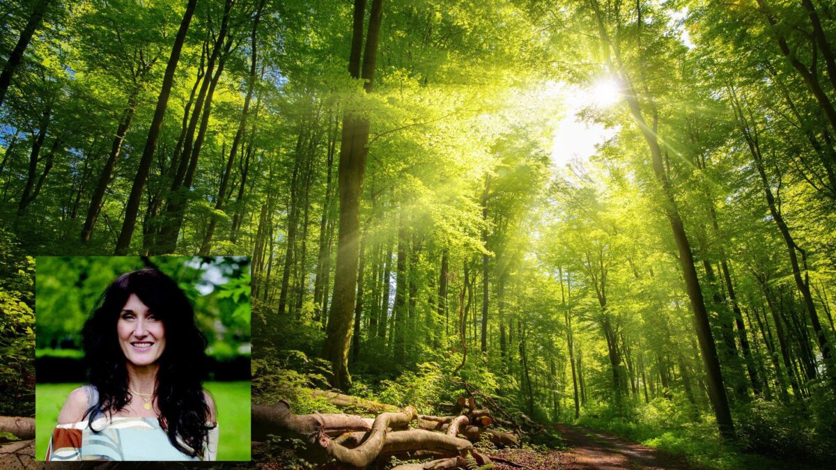 «Insegno a contemplare il verde per guarire il corpo e lo spirito»