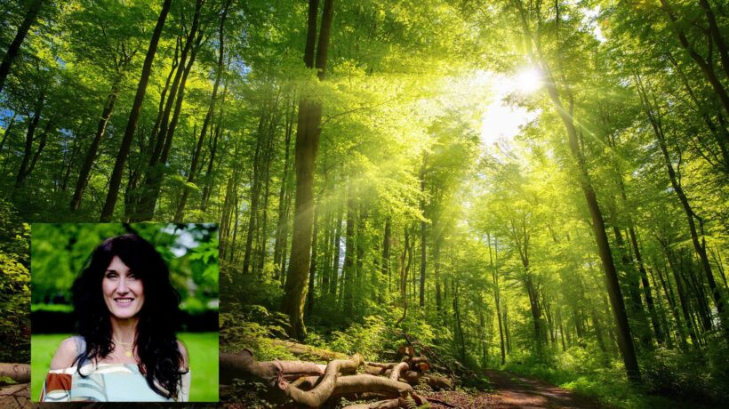 «Insegno a contemplare il verde per guarire il corpo e lo spirito»