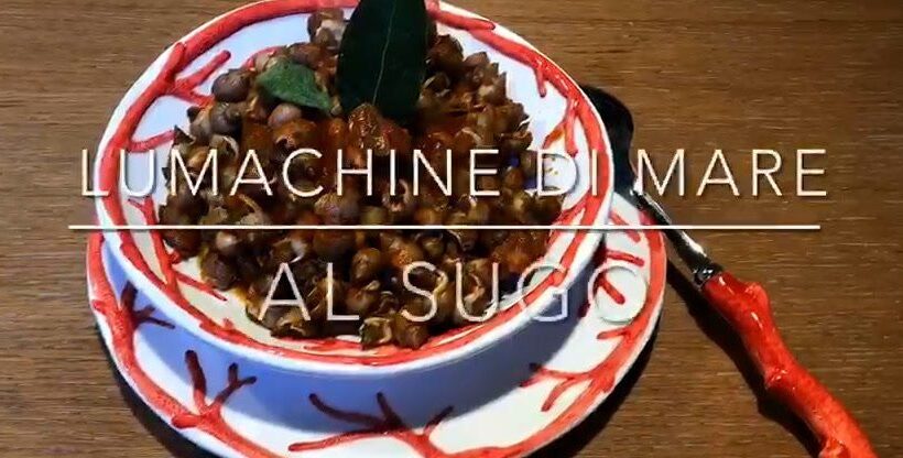 Cuciniamo insieme: lumachine di mare al sugo rosso