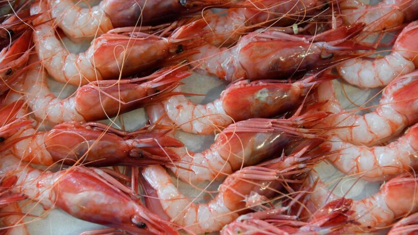Freschi o d’importazione, scegliamo bene i gamberi
