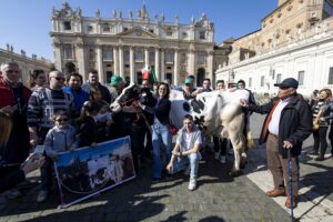 «Debito per mantenere le vittime del green»