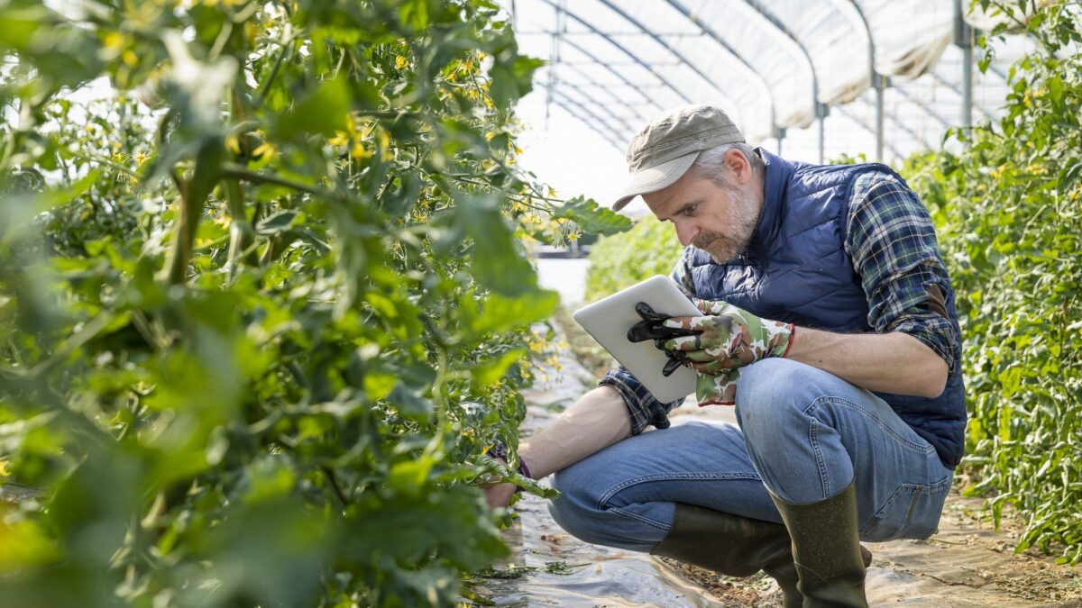 Il governo studia il ritorno parziale dell’esenzione sull’Irpef agricola