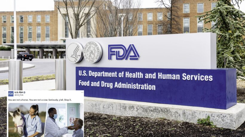 Fda eliminerà il post anti ivermectina