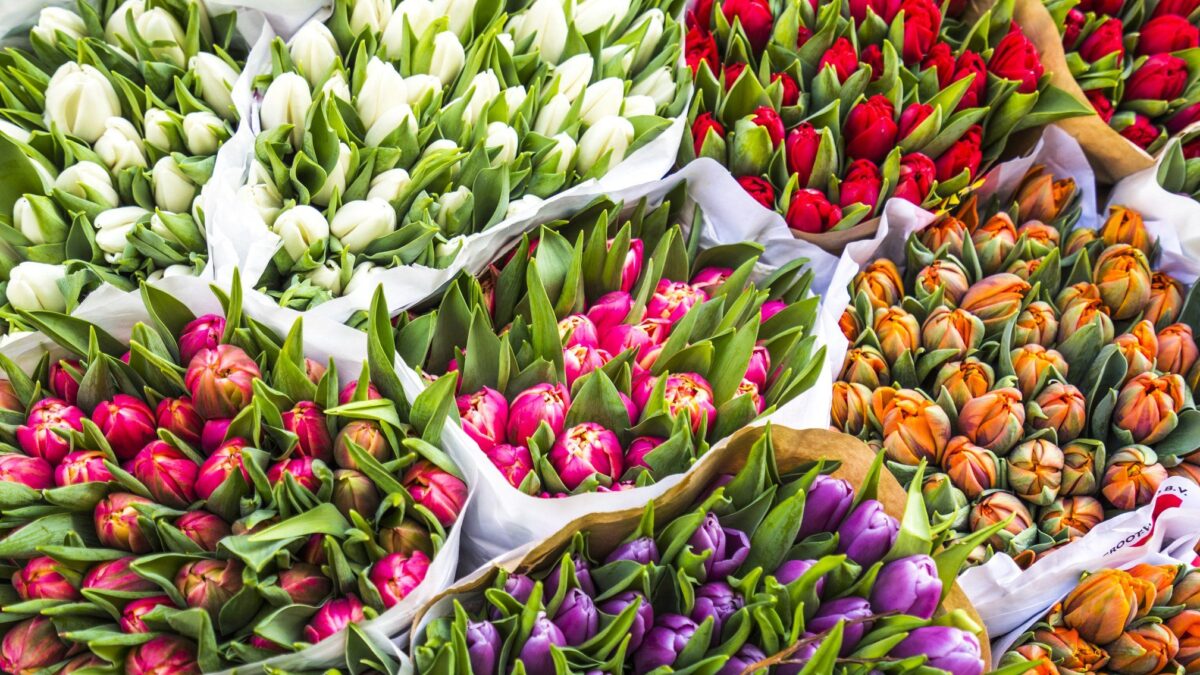 fiori mercato primavera