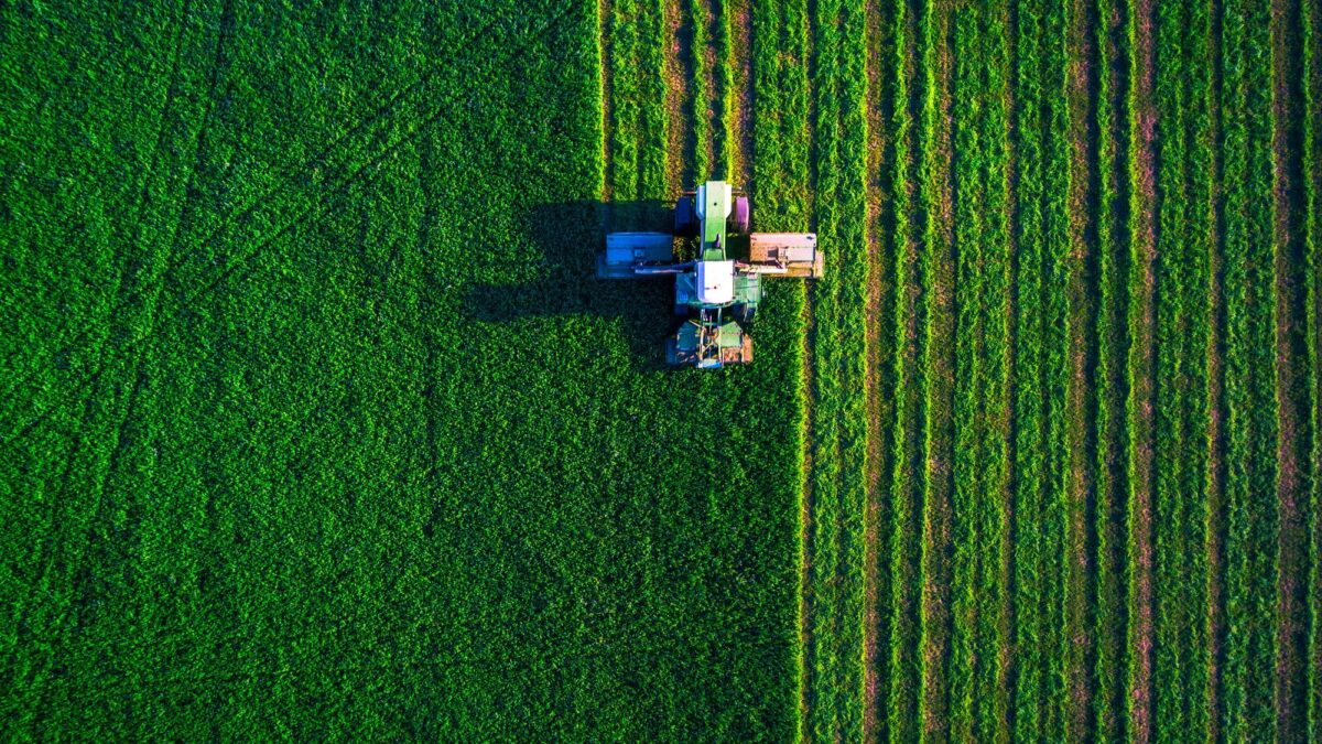 «Aiutiamo gli agricoltori a usare i soldi del Pnrr per entrare nel digitale»