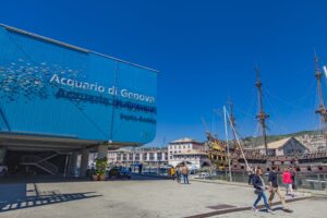 Da Genova a Cattolica, ecco gli acquari più belli d’Italia
