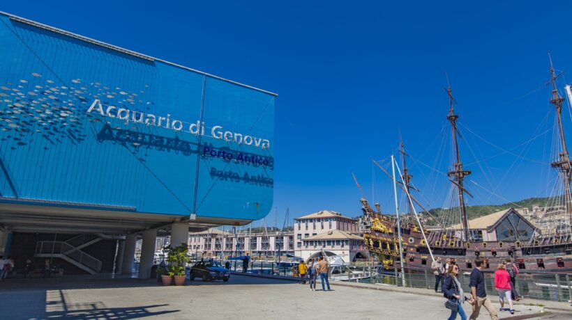 Da Genova a Cattolica, ecco gli acquari più belli d’Italia