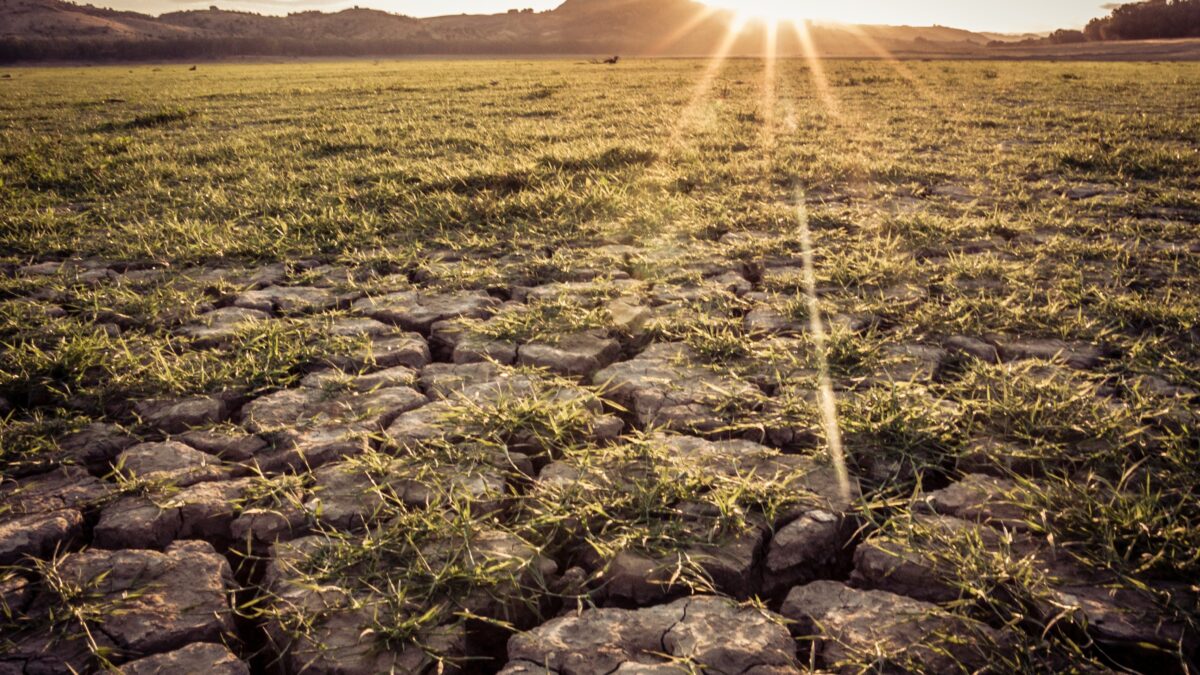 Corsi di autodifesa sul clima fatti da geometri