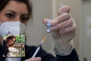 «Ma quali aggressioni, noi danneggiati vogliamo soltanto essere curati»
