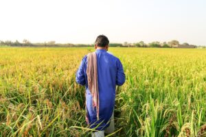 «Nei campi a lavorare per 1 euro». Retata di «schiavisti» pakistani