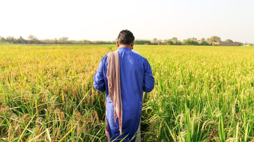 «Nei campi a lavorare per 1 euro». Retata di «schiavisti» pakistani