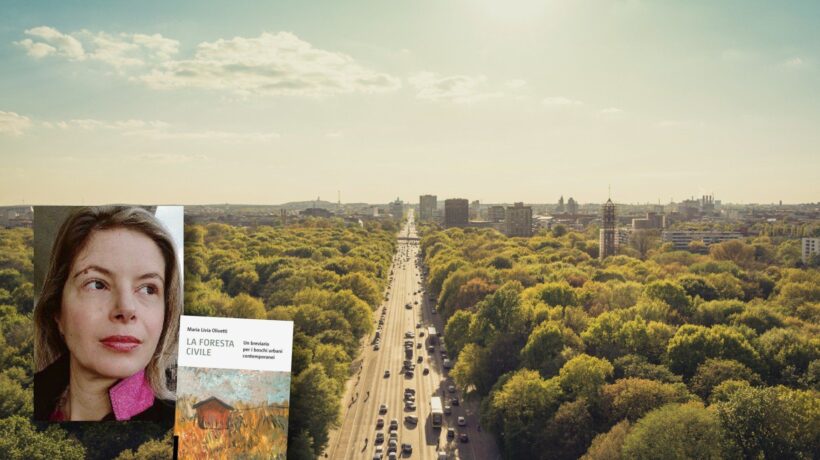 La foresta portata dentro la città rischia di diventare uno «zoo di alberi»