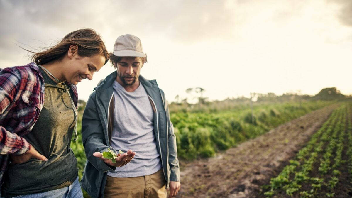 Mal d’impresa. Gli italiani hanno smesso di mettersi in proprio