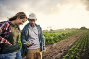 Mal d’impresa. Gli italiani hanno smesso di mettersi in proprio