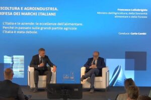 Lollobrigida: «Sulla Pac un gran successo. L’agricoltura torna al centro dell’agenda di Bruxelles»