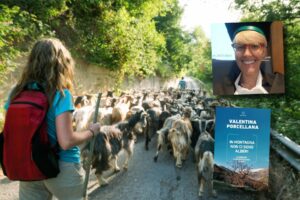 Oggi la scelta di fare il pastore può nascere anche dalla ribellione