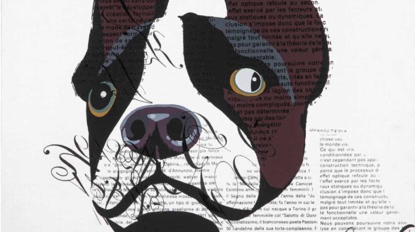 Armando Testa in mostra  a Ca’Pesaro