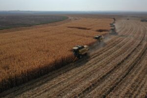 La nuova battaglia con i turchi è per il grano
