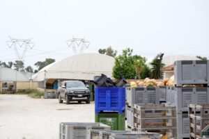 Fondi Ue agli sfruttatori dell’indiano ucciso