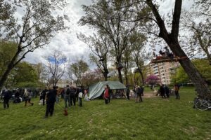 Sotto scorta gli assessori di Bologna «colpevoli» di aver tagliato gli alberi