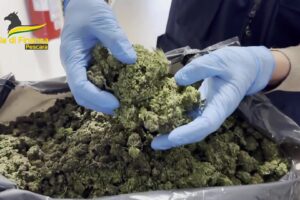 Gdf, contrasto ai traffici di sostanze stupefacenti