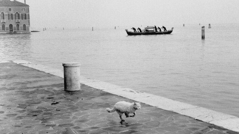 Gianni Berengo Gardin in mostra ad Alessandria