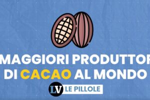 I maggiori produttori di cacao al mondo
