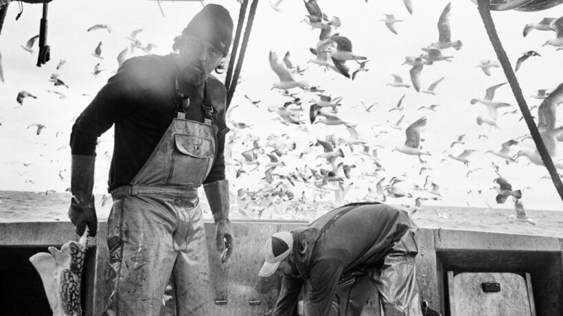 Ragusa Foto Festival