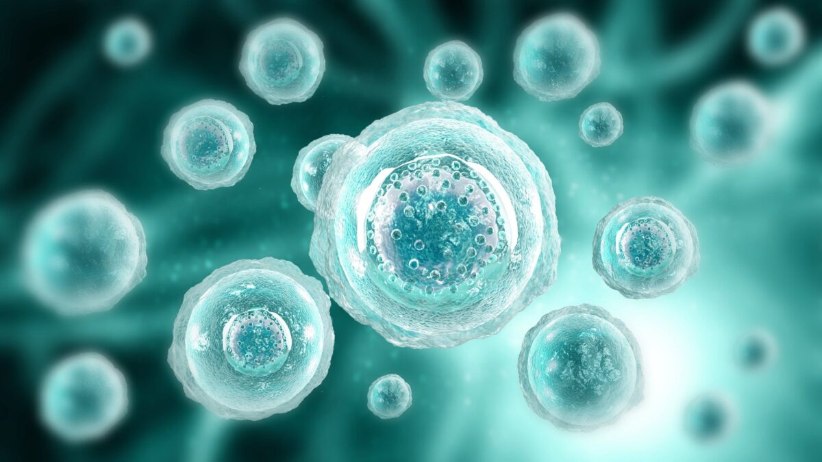 Ogni cellula del corpo ce lo ricorda: il sesso mutabile non è mai esistito